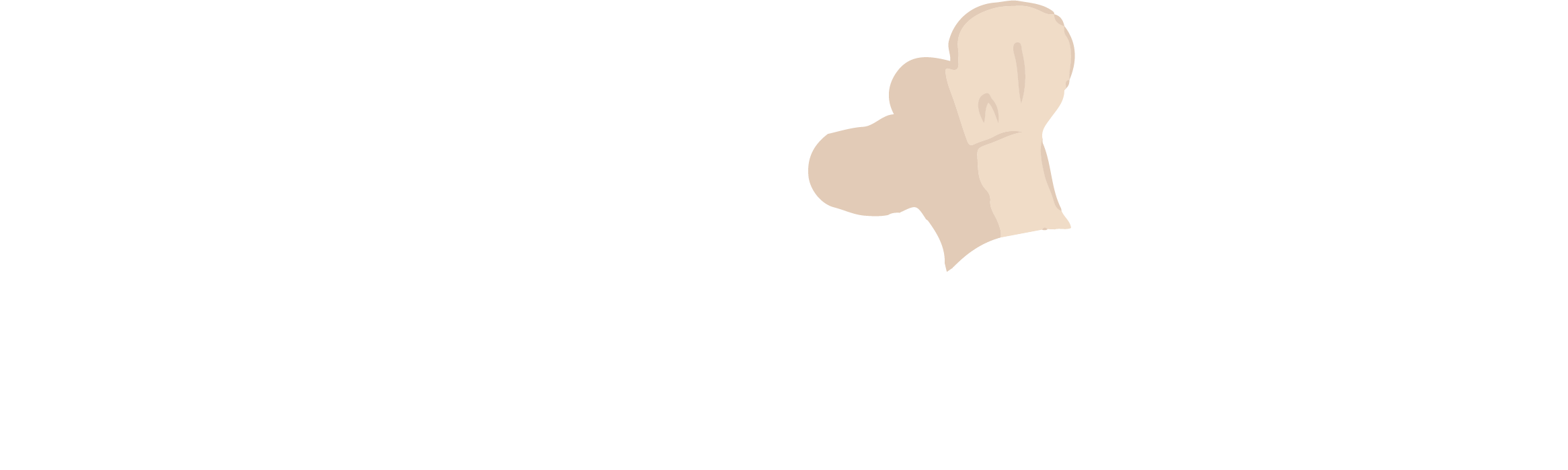 footer-logo